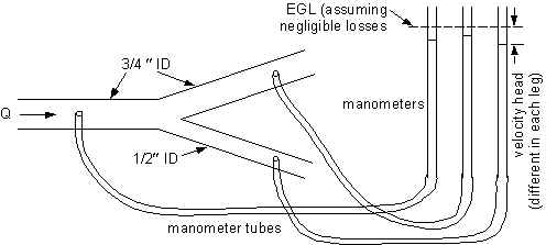 FigYbranch.jpg (16481 bytes)